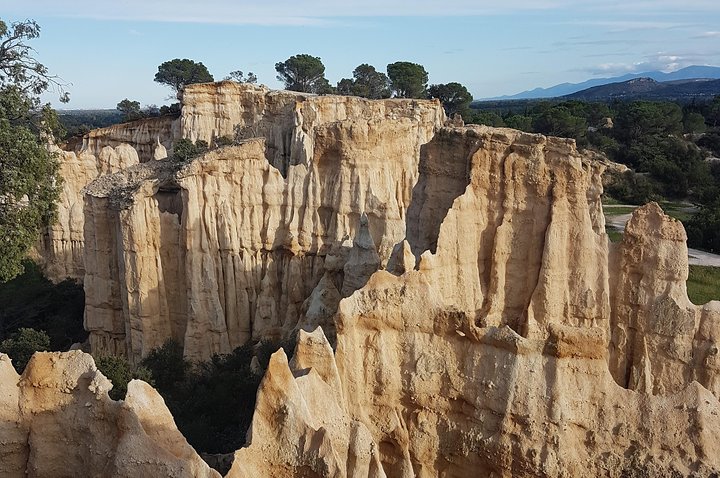 Discovery of Organs: exploration, fauna, flora, geology