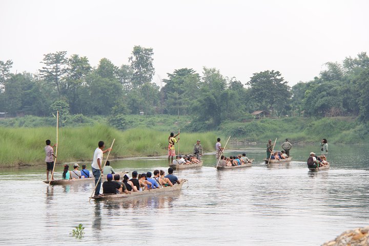 Jungle Towernight Stay In Chitwan National Park ,nepal-2 Nights 3 Days Package