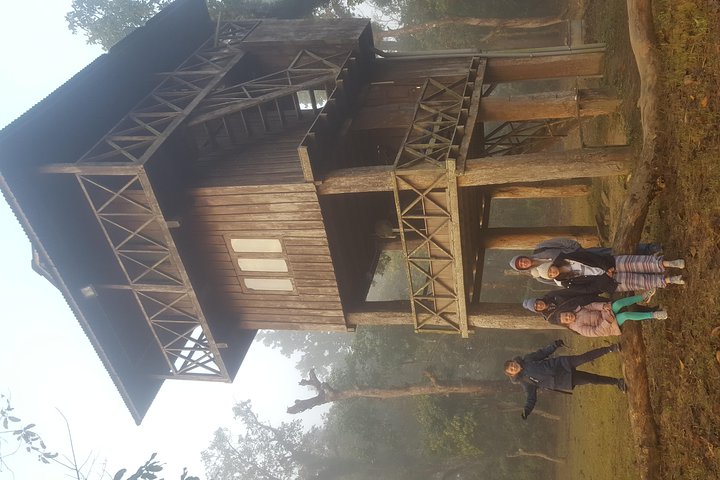 Jungle Towernight Stay In Chitwan National Park ,nepal-2 Nights 3 Days Package