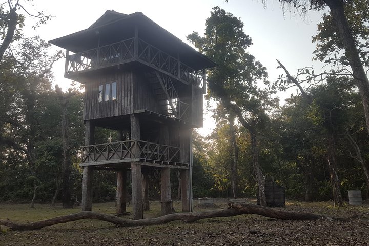 Jungle Towernight Stay In Chitwan National Park ,nepal-2 Nights 3 Days Package