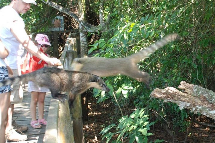 Pantanal Day Trip - All Inclusive - Leaving Campo Grande