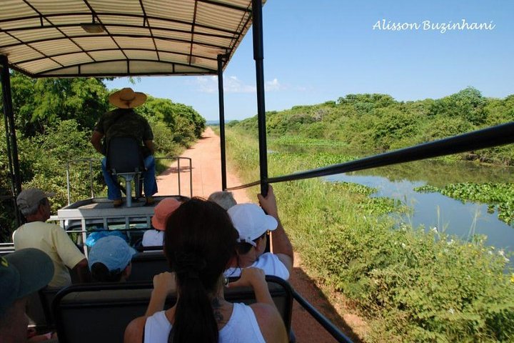 Pantanal Day Trip - All Inclusive - Leaving Campo Grande
