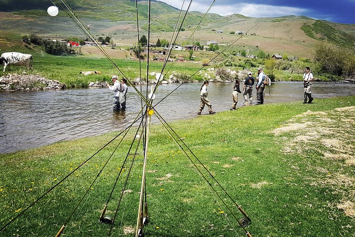 Guided Fly Fishing Experience in Park City