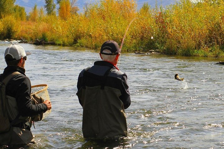 Guided Fly Fishing Experience in Park City