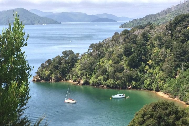 Full-Day Wine Gourmet and Scenic Delight Tour of Marlborough from Blenheim