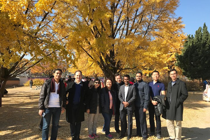 [ Full Day ] Nami Island & Petit France From Seoul
