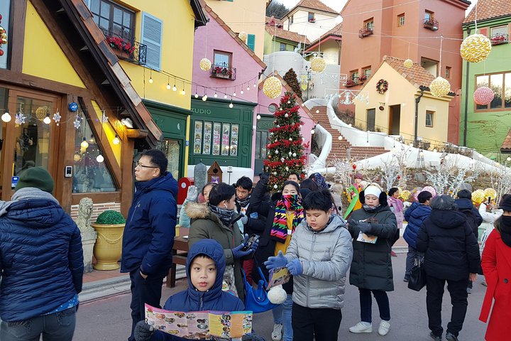 [ Full Day ] Nami Island & Petit France From Seoul