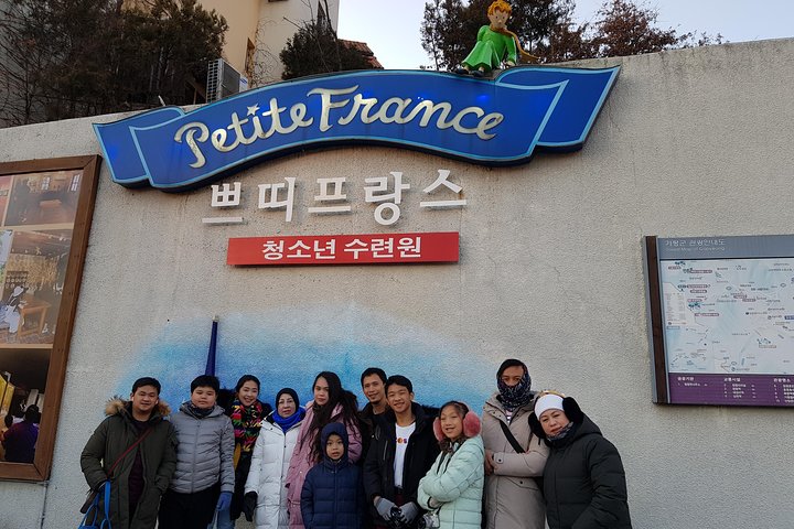 [ Full Day ] Nami Island & Petit France From Seoul