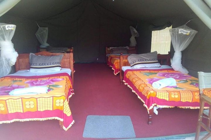 3 Days Maasai Mara Guided Safari from Nairobi