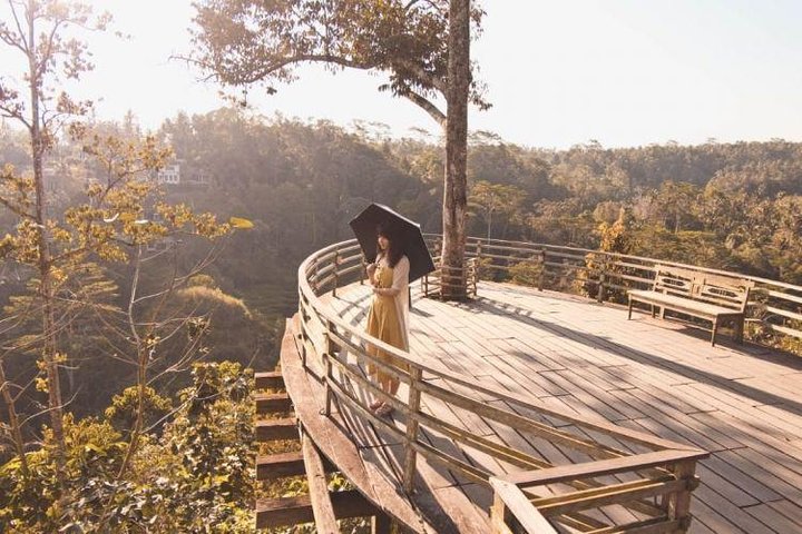 Ubud: Monkey Forest, Jungle Swing, Rice Terrace and Water Temple