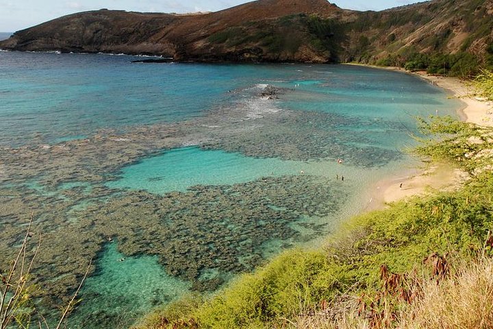 Hanauma Bay Snorkeling from Waikiki