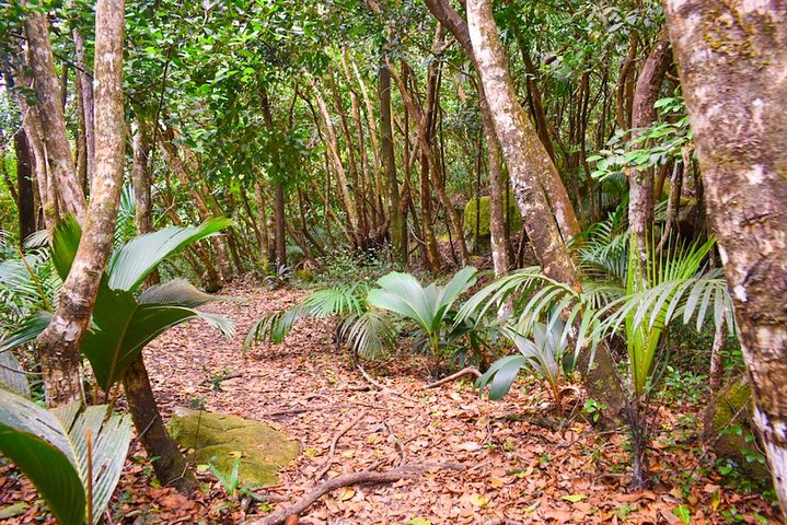 Private Full day Mahé island tour (1-2 persons)