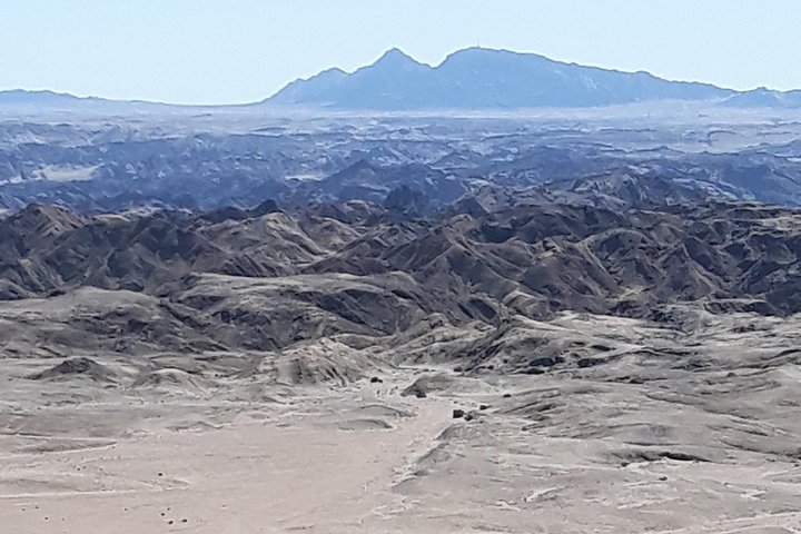 Sandwich harbour and Welwitschia Tour