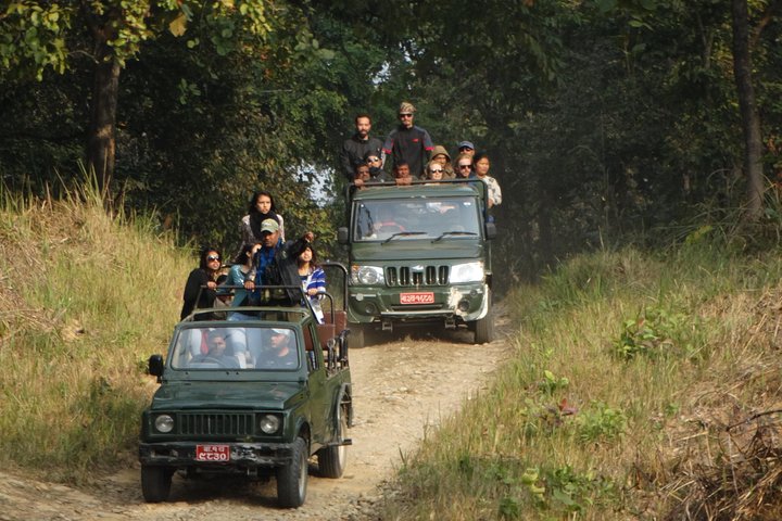 Jungle Towernight Stay In Chitwan National Park ,nepal-2 Nights 3 Days Package