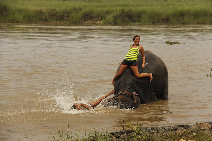 Jungle Towernight Stay In Chitwan National Park ,nepal-2 Nights 3 Days Package
