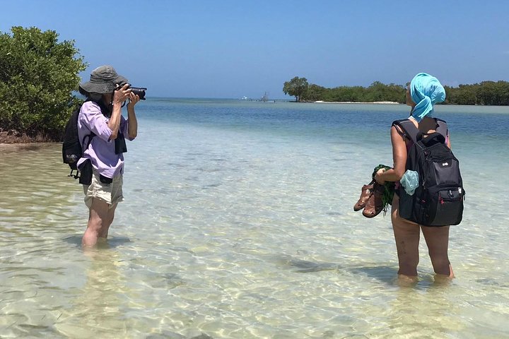 Holbox 3 Island Group Tour