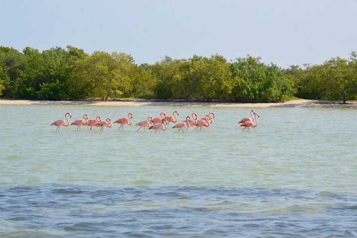 Holbox 3 Island Group Tour