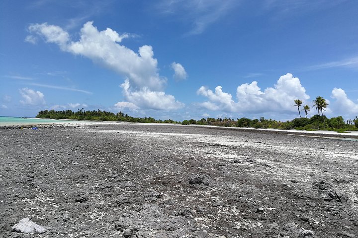 REEF ISLAND | private island | pink sand | natural swimming pools