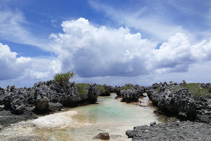 REEF ISLAND | private island | pink sand | natural swimming pools