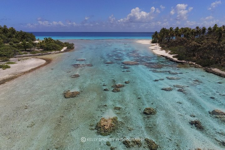 REEF ISLAND | private island | pink sand | natural swimming pools