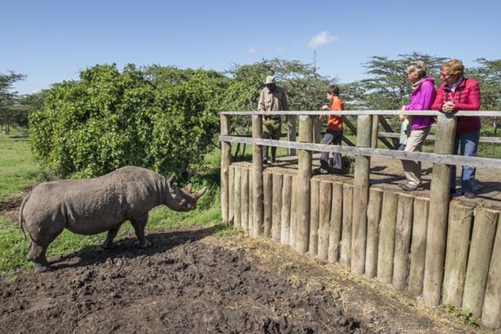 Ol Pejeta Conservancy Day Tour from Nairobi