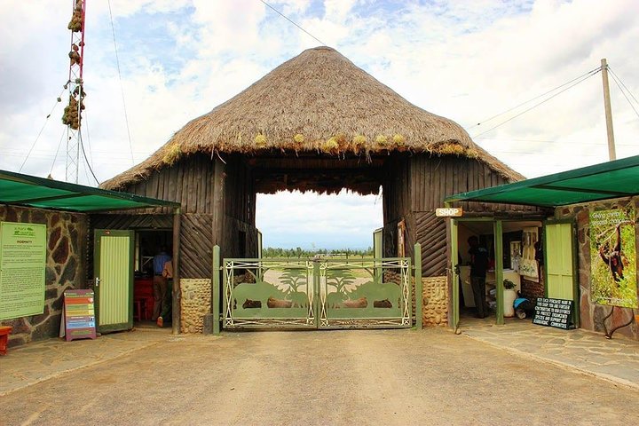 Ol Pejeta Conservancy Day Tour from Nairobi