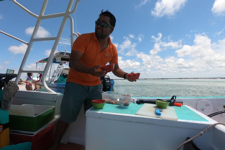 Swim with whale sharks on a private tour