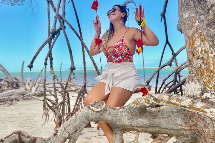 Private Full Tours in jericoacoara