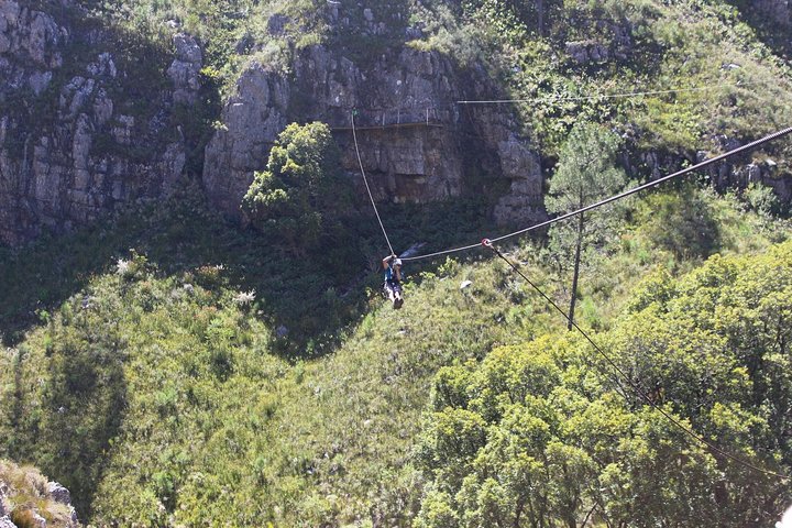 Ziplining in Elgin