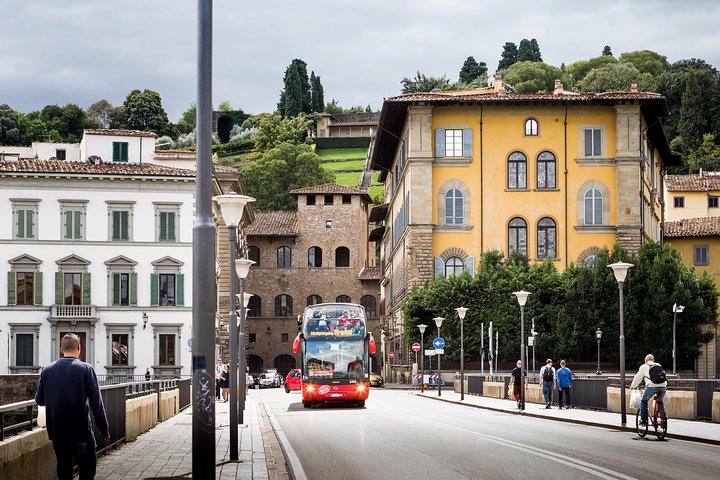 Livorno Shore Excursion: Florence & Pisa with Accademia and Tower