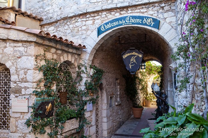 Private Customized French Riviera Tour from Port Villefranche 6H