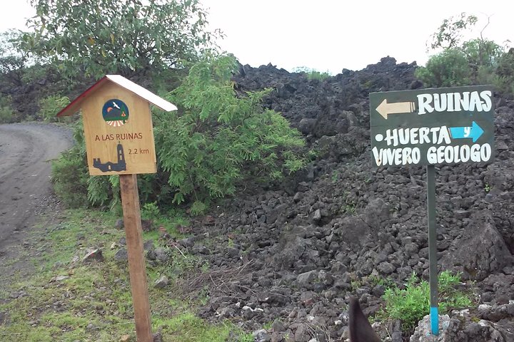 Paricutin Volcano Tour (Morelia)