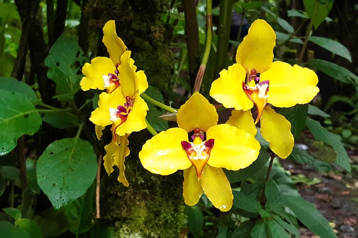Papallacta Hot Springs: Relax in Ecuador’s Andes Mountain Range