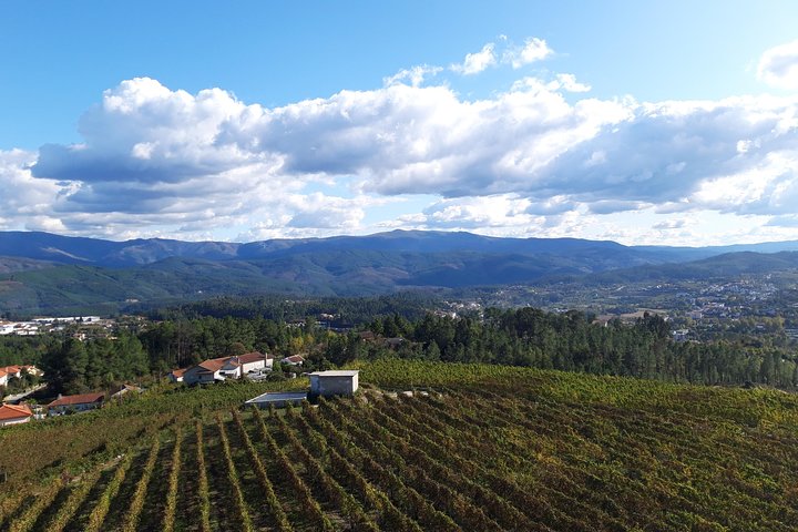 Premium Tasting | Quinta de Santa Cristina Vinho Verde