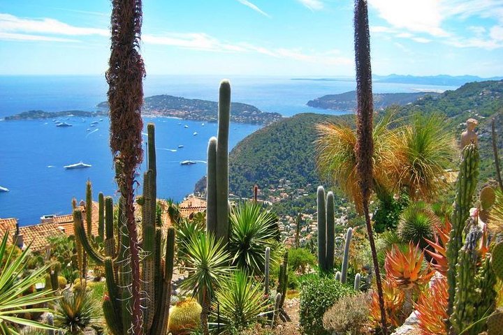 Excursion partagée Eze, Monaco & Monte Carlo from Nice