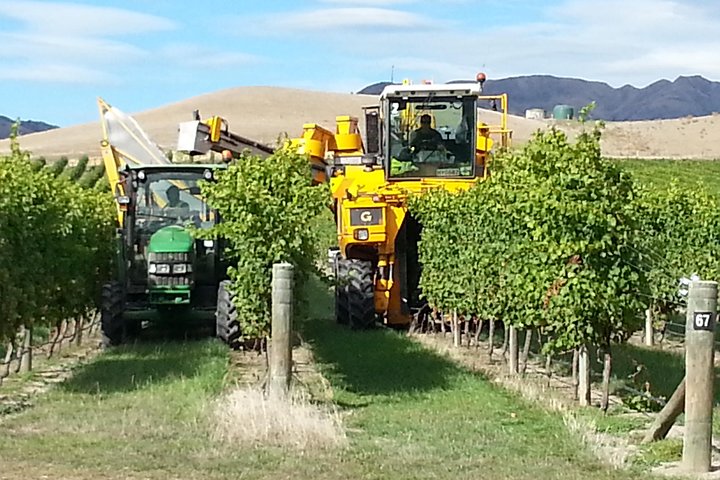 Waipara Wine Tour from Christchurch - including Lunch & Tastings