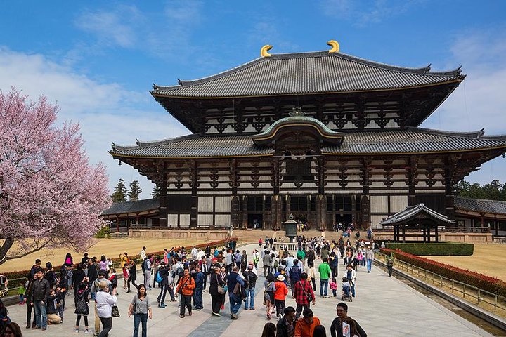 Nara Customized Private Tour in 1 Day with Licensed Guide