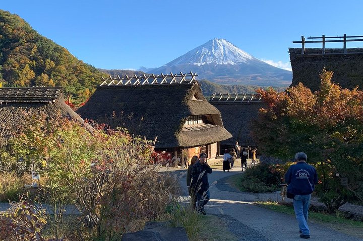 Private Tour to Mt. Fuji and Hakone (Fully Licensed Operator)