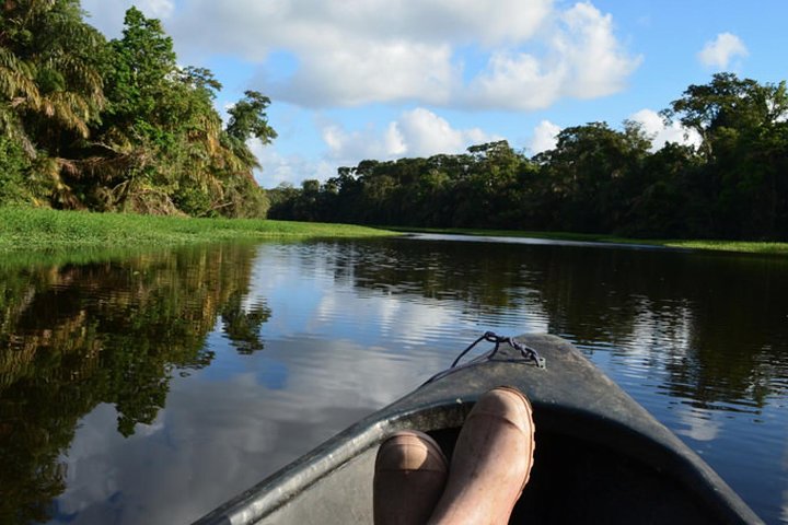 3-day Tortuguero Expedition