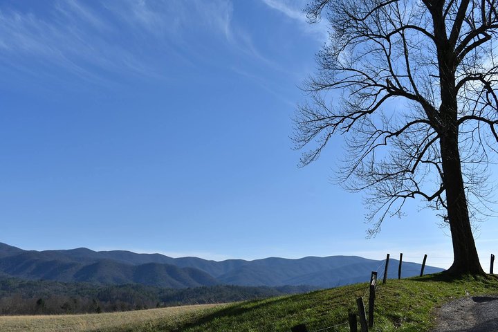 Cades Cove Sightseeing Bus Tour from Pigeon Forge
