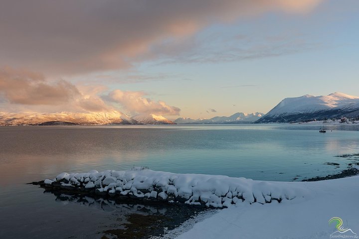 Small-Group Norwegian Fjords Tour from Tromso with Photos
