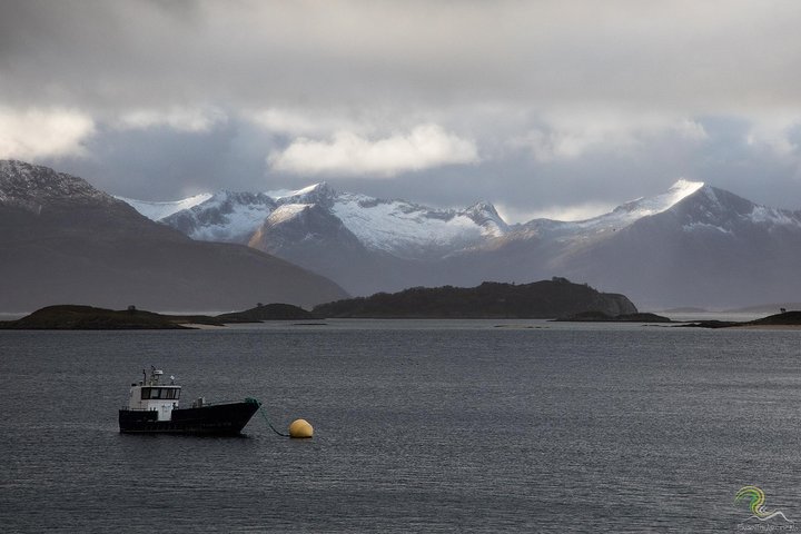 Small-Group Norwegian Fjords Tour from Tromso with Photos