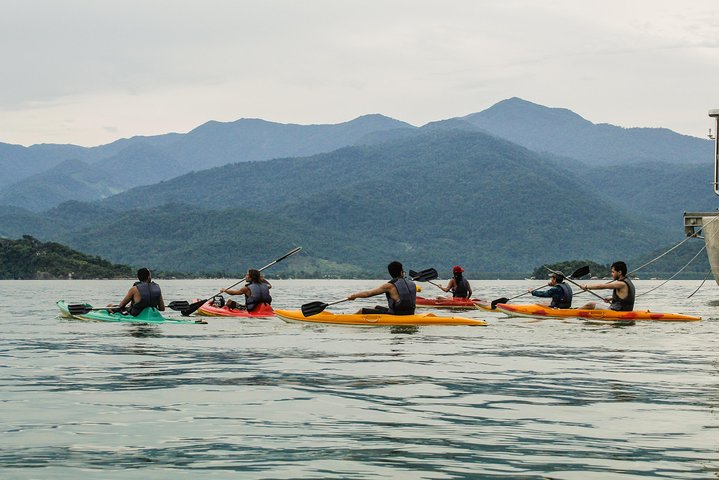 Kayaking to the mangroves & Capivaras