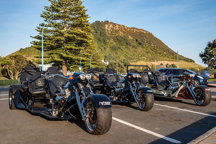 TAURANGA SHORE EXCURSION: Epic 25 min V8 Trike Tour (Tauranga)