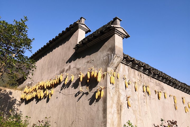 Private Hiking Tour along Xihong Ancient Trail in Huangshan City & Mt. Qiyun