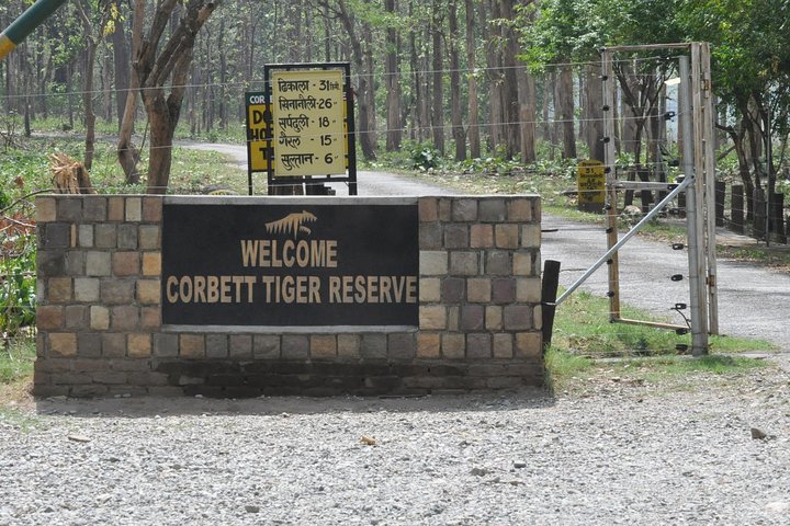 2 Nights Stay at Dhikala Zone in Jim Corbett National Park