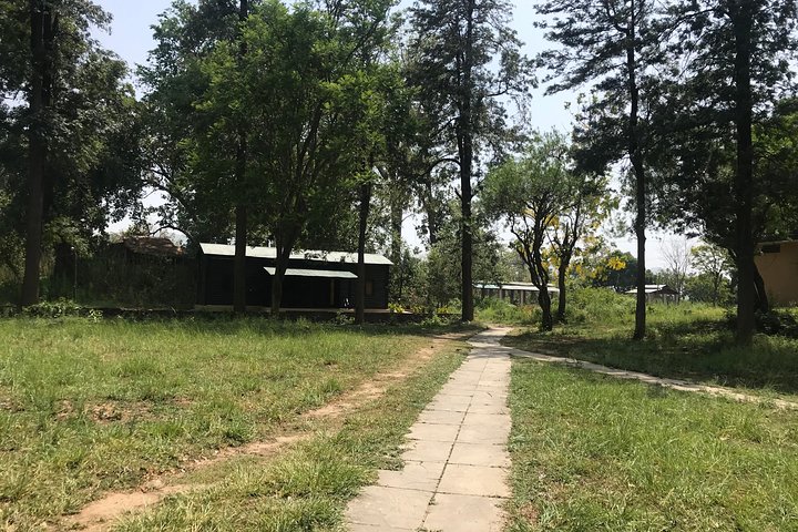 2 Nights Stay at Dhikala Zone in Jim Corbett National Park