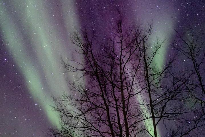 Intimate Aurora Tours Cozy Cabin Bucket List