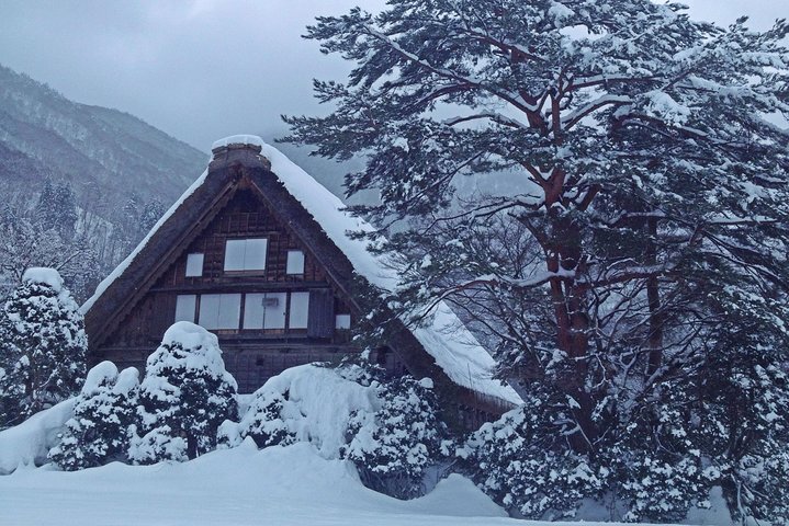 [One-day bus tour departing from Kanazawa Station] Shirakawa-go/Takayama tour platinum route bus tour