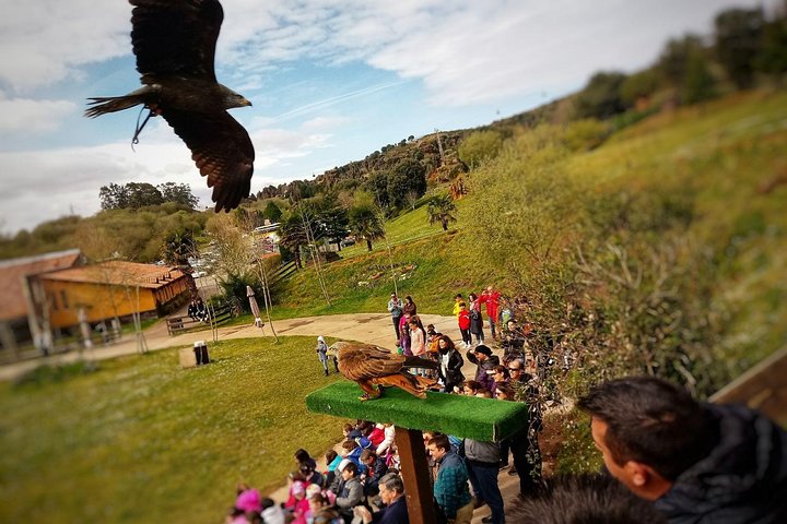 Cabarceno Natural Park Guided Visit from Santander